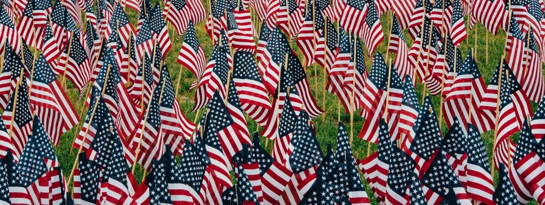 grass covered with mini American flags
