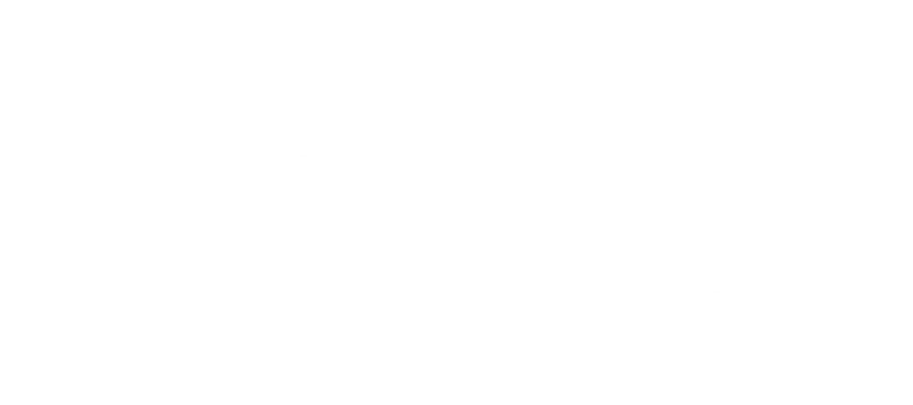 Logo Bdo White